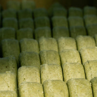 Hops Shampoo Bar